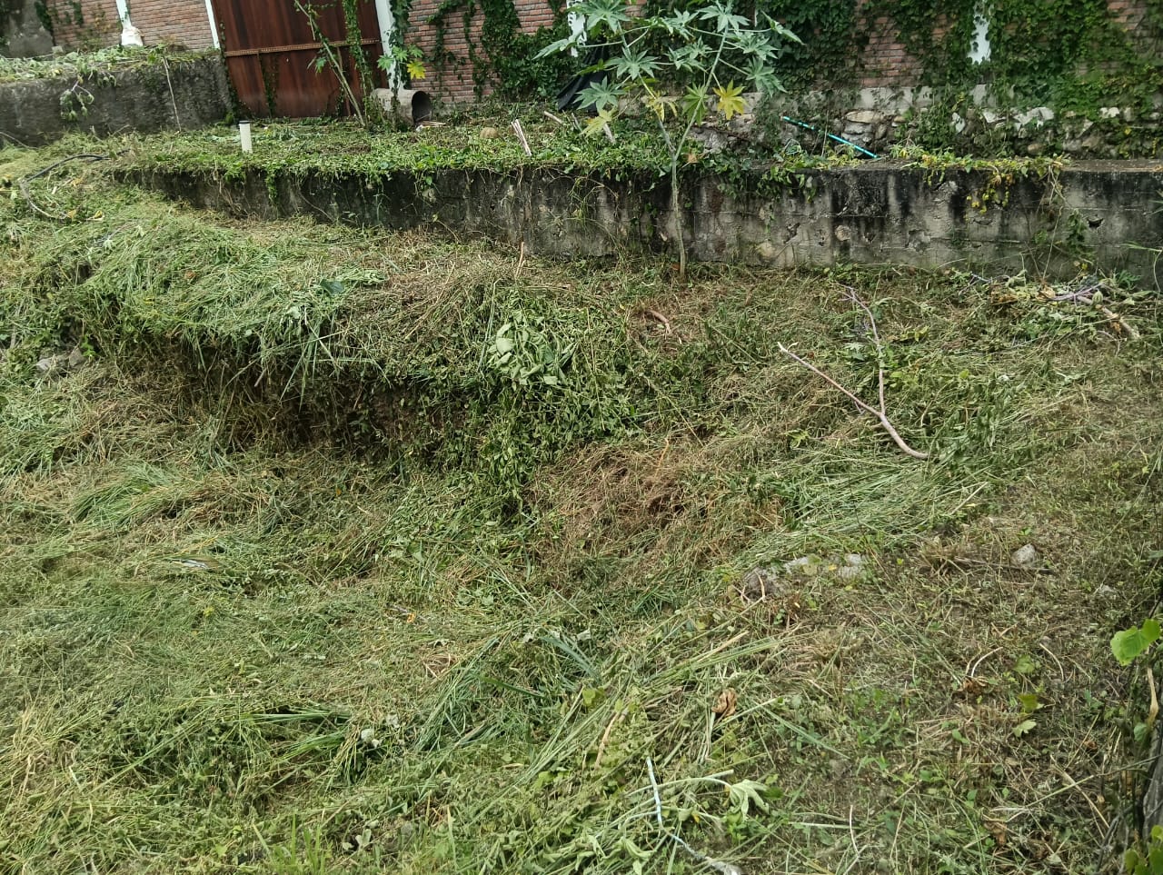 Inmueble foto 6