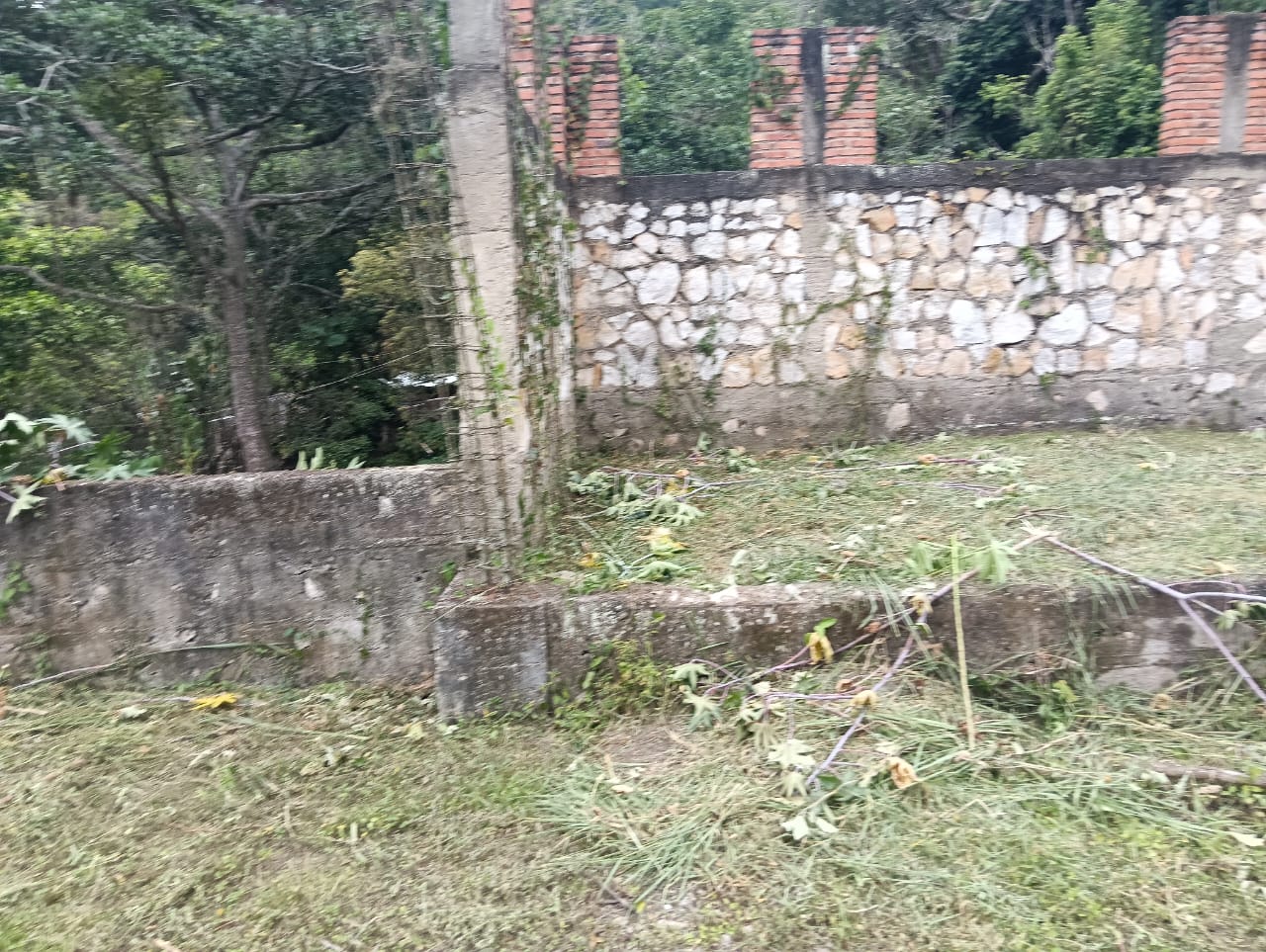 Inmueble foto 11